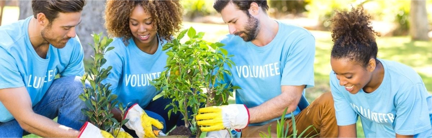 Zero Carbon One volunteer program