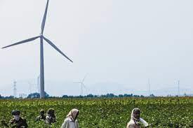 Grid Connected Wind Energy Project in Tamil Nadu carbon project preview