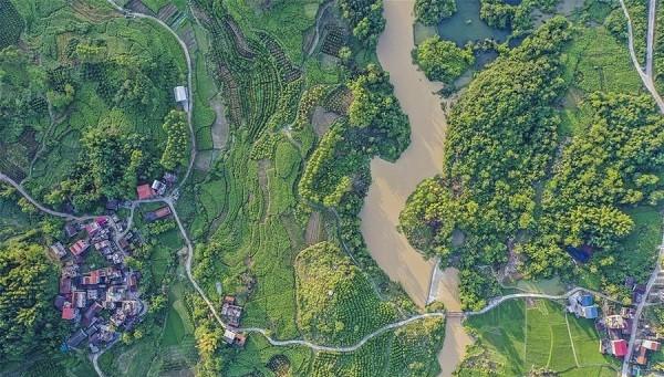 Guangxi Huanjiang IFM (conversion of logged to protected forest) Project carbon project preview